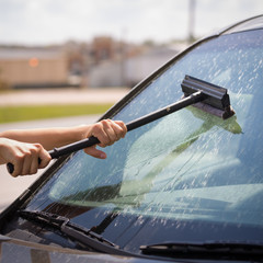 A girl with a brush in her hands washes the windshield of the car from a large number of dead insects. The season of flying insects. Flying insects covered the windshield after a trip on the autobahn. © goodmoments