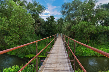 Bridge over a river in the summer forest