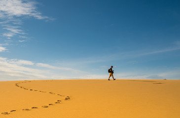 Explorer hiking on a desert