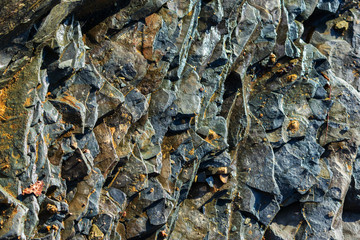 Up close top down view of shall rocks