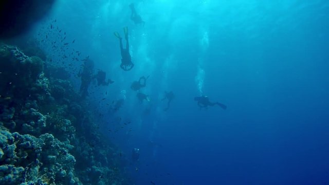 Divers underwater in the sea closeup photo