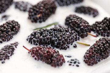 Fresh and delicious mulberries