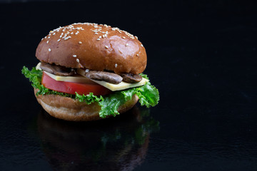 big crispy burger with lettuce and tomato slice, dark background