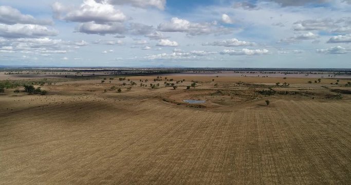 Cropped flat agricultural field in remote regional part of NSW, Australia. Aerial view over artesian basin around Moree town.