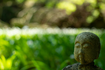 Buddha and Green