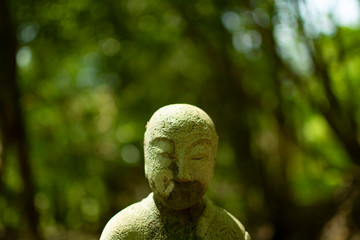 Buddha and Green