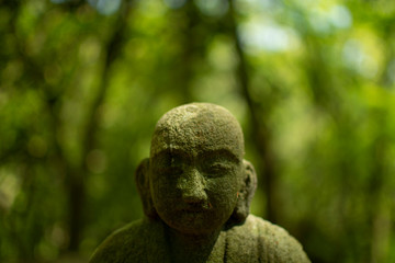 Buddha and Green