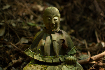 The Wrath of the Buddha