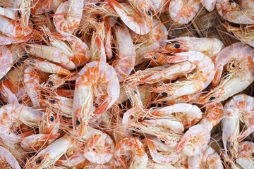 close up dry shrimp for cooking