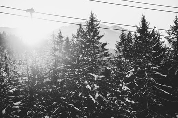 ski slopes