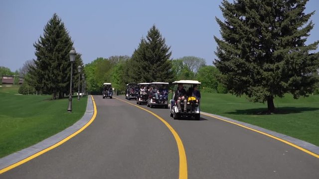 Tours of the park in cars. Tour buses carry tourists along the asphalt road among trees and green grass. The camera moves along the road