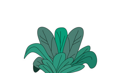 green leaf isolated on white