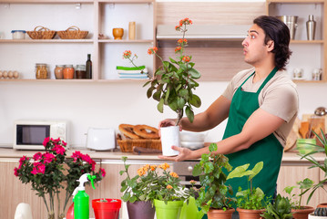 Young handsome man cultivating flowers at home