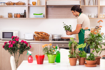 Young handsome man cultivating flowers at home