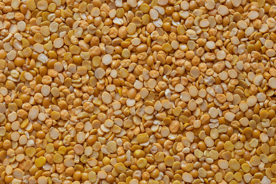 Chickpeas Or Chana Dal, Split Pluse Closeup.