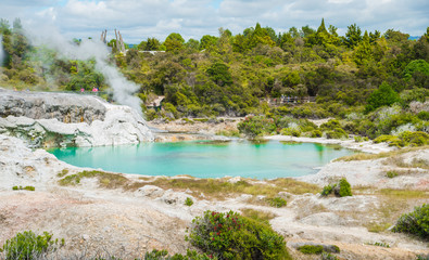 Naklejka na ściany i meble The beautiful geothermal hot pool nearly Pohutu and Prince of Wales Geysers in Whakarewarewa Thermal Village, Rotorua, New Zealand.