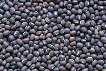 Black Gram Lentils  or Skinned Urad Dal, closeup