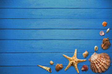 Holidays background with shells and attributes of summer