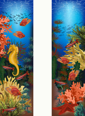 Underwater vertical banners with starfish and seahorse, vector illustration