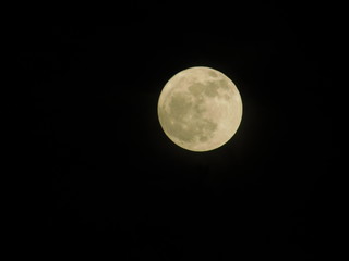 Moon in Full at Night