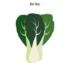 Bok choy illustration