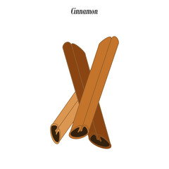 Cinnamon stick illustration