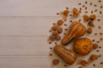 Fresh organic vegetables. Food background. Healthy autumn food border background with pumpkins, physalis, walnut and pumpkin seeds with copy space for text. Top view autumn food backdrop. Toned image.