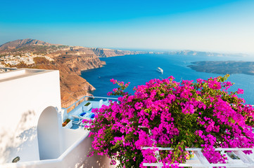 Tree with pink flowers on the terrace with sea view. Panoramic view of Santorini island, Greece.