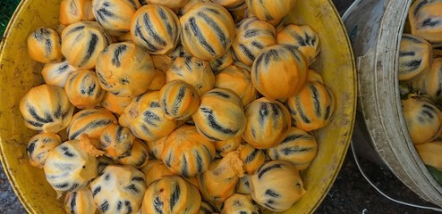 tucuma 