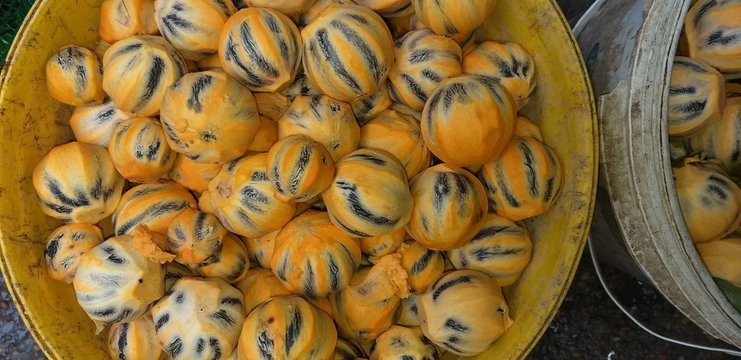 tucuma 