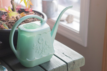 Watering Can1