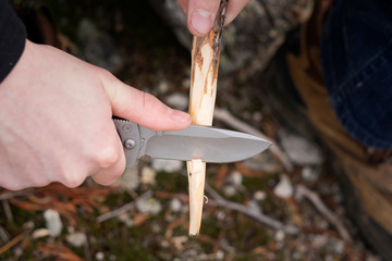 Man's hand sharpening a wood stick with a stainles steel folding knife in the forest.