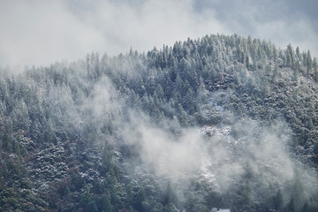 Dramatic Winter landscape of snow storm clouds and fog moving over a forest covered mountain top.