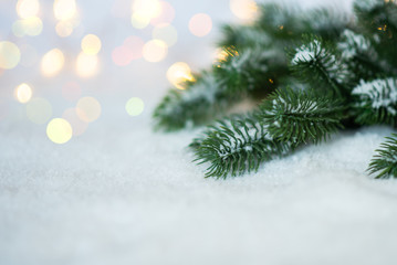 Christmas tree branches on the snow. Nature New Year or Merry Cristmas concept. Toned image with copy space. Selective focus.