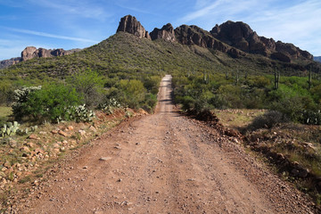 Dirt road in Arizona desert 