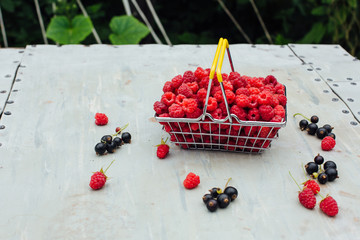 Mini shopping basket full of fresh red ripe raspberry and blackberry on vintage background