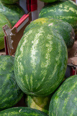 Watermelon in the market
