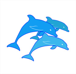 dolphin logo