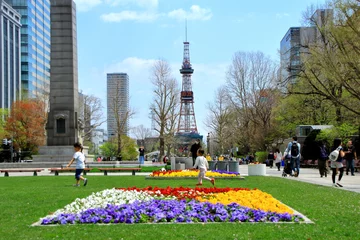 Poster 札幌テレビ塔と大通公園の春の風景 © tasch