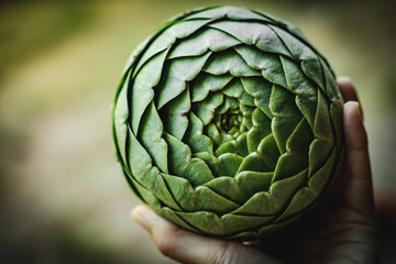 Obraz premium A Big Green Organic Artichoke