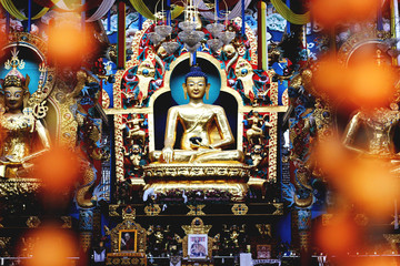 image of buddha in temple