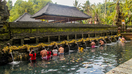 People are doing the ritual purifying bath at Tirta Empul temple, a Hindu Balinese water temple...
