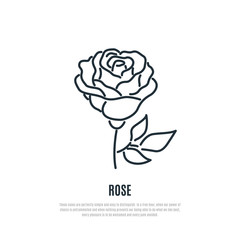 Rose line icon. Flower symbol. Liner style. Vector illustration.