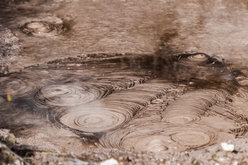 Mud bubbles from geothermal pools