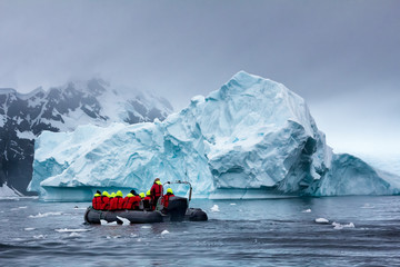 Whale watching in Antarctica - 266074823