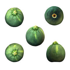 Round zuccini fruit white background multiple angles 3d render