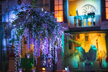 Vines with Hanging Lanterns Floating over an Elegant Dinner event.
