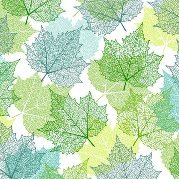 Background with blue and green maple leaves. Nature banner. Frame with plants. Template for invitation and greeting card