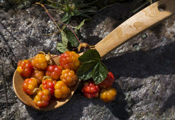 Сloudberriy berries in the spoon on the stone
