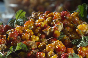 Сloudberriy berries in the spoon on the stone